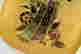 item-131377285=4