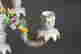 item-131377330=17