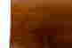 item-131377338=13