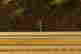 item-131377348=12