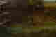 item-131377348=5