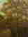 item-131377348=8