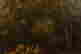 item-131377348=9