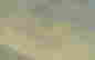item-131377349=10