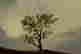 item-131377349=3