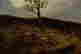 item-131377349=4