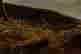 item-131377349=5