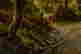 item-131377350=5