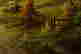 item-131377350=9