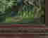 item-131377352=15
