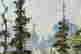 item-131377352=3