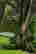item-131377353=6