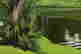 item-131377353=7