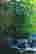 item-131377358=3