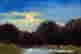 item-131377359=4