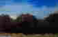 item-131377359=6