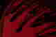 item-131377364=6