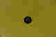 item-131377388=4