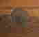 item-131377427=7