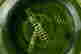 item-131377435=4