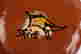 item-131377445=7