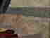 item-131377489=12