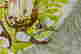 item-131377495=11