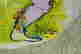 item-131377495=5
