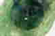 item-131377525=8