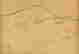 item-131377553=16