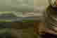 item-131377565=11