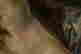 item-131377566=7