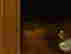 item-131377568=11