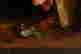 item-131377568=6