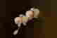 item-131377570=3