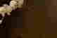 item-131377570=4