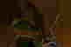 item-131377570=5