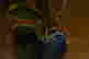 item-131377570=6