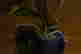 item-131377570=7