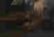 item-131377571=11