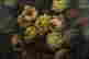 item-131377571=4