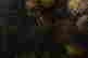 item-131377571=8