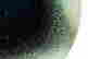 item-131419391=4
