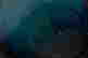 item-131419391=5