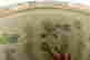 item-131822735=16