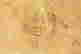 item-131822735=8