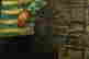 item-131822770=12