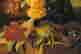 item-131822772=7