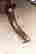 item-135928130=15