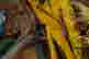 item-135928347=15